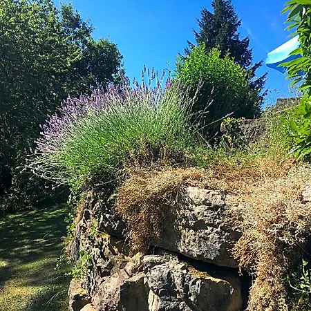 Holiday home La Source Le Calet
